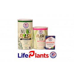 KIT FLASH TEA WOMEN-MEN